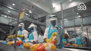 Gateware - GW na Midia - São Salvador Alimentos dobra produção após transformação digital somada à Gestão de Mudanças da Gateware