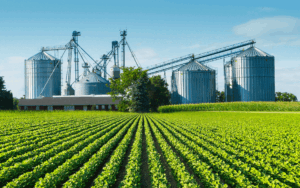 A NovaAgri, empresa do grupo Toyota Tsusho com sede em São Paulo e especializada em logística integrada de commodities agrícolas, implementou com sucesso, no início desse ano, o ERP da SAP, S/4HANA, com todos os módulos específicos para o agronegócio (ACM e TM) em nuvem.