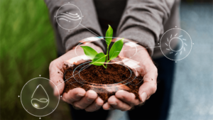 Marcelo Martins, GMO da Gateware, explica como o Agronegócio está impulsionando a tecnologia em Goiás.