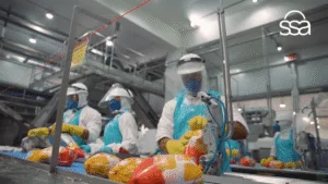 Gateware - GW na Midia - São Salvador Alimentos dobra produção após transformação digital somada à Gestão de Mudanças da Gateware